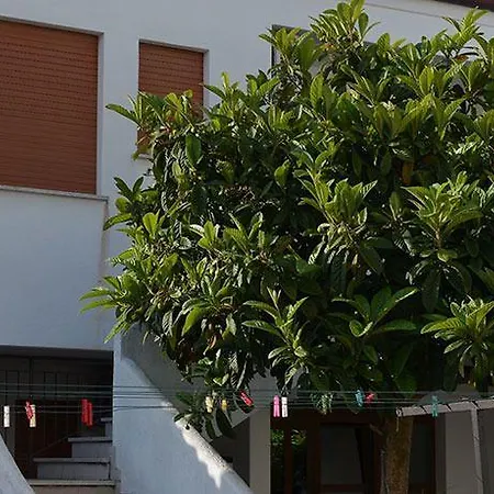 Berna Hotel Eraclea Mare